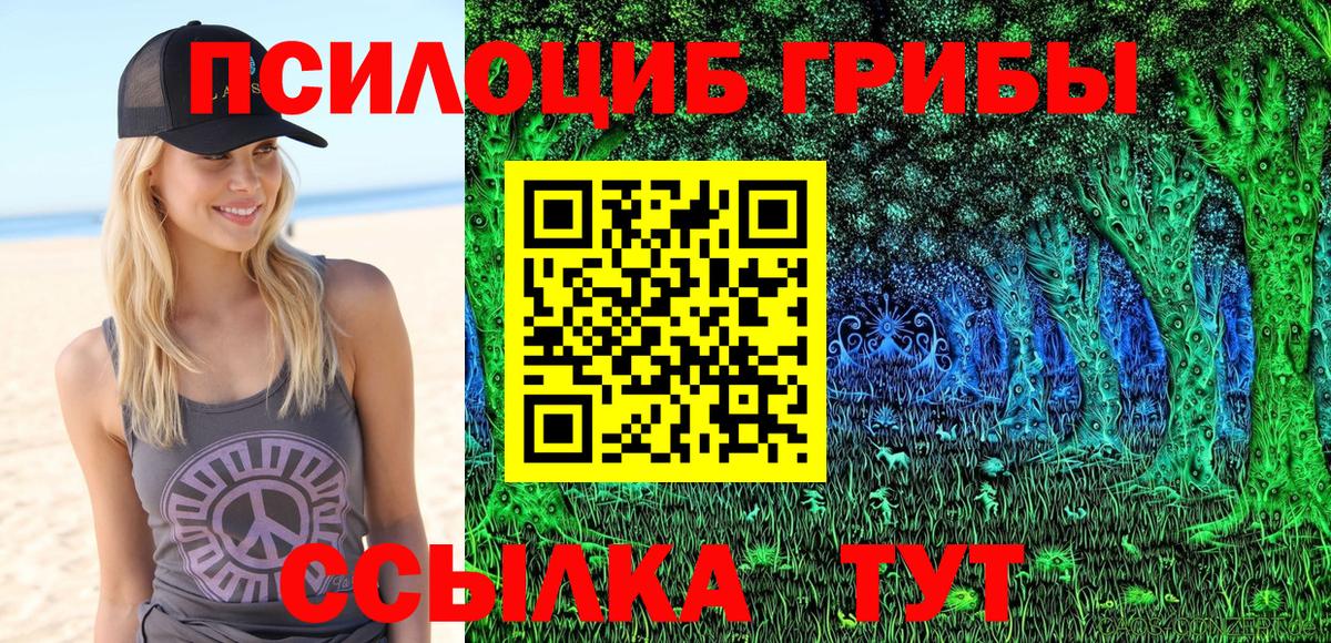Псилоцибиновые грибы прущие грибы  закладка  Дубна  Вход с VPN 